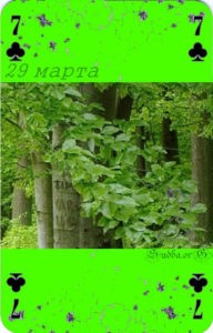 Двадцать девятое марта Наина Владимирова семерка крест матрица жизни в картах судьбы и любви