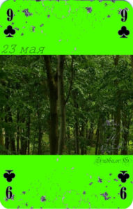 Двадцать третье мая мая Наина Владимирова крестовая девятка карта любви и судьбы по роберту кемпу 23 мая кармический календарь