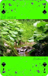 Двадцать пятое мая мая Наина Владимирова 7 крест карты любви кэмп 25 мая кармический календарь