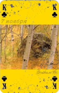 Седьмое ноября Наина Владимирова роберт кэмп карты любви купить книгу 7 ноября кармический календарь