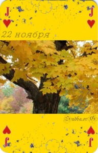 Двадцать второе ноября Наина Владимирова роберт кэмпбелл карты любви 22 ноября кармический календарь