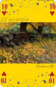 Двадцать третье ноября Наина Владимирова любовь в натальной карте 23 ноября кармический календарь